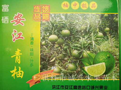 安江青柚